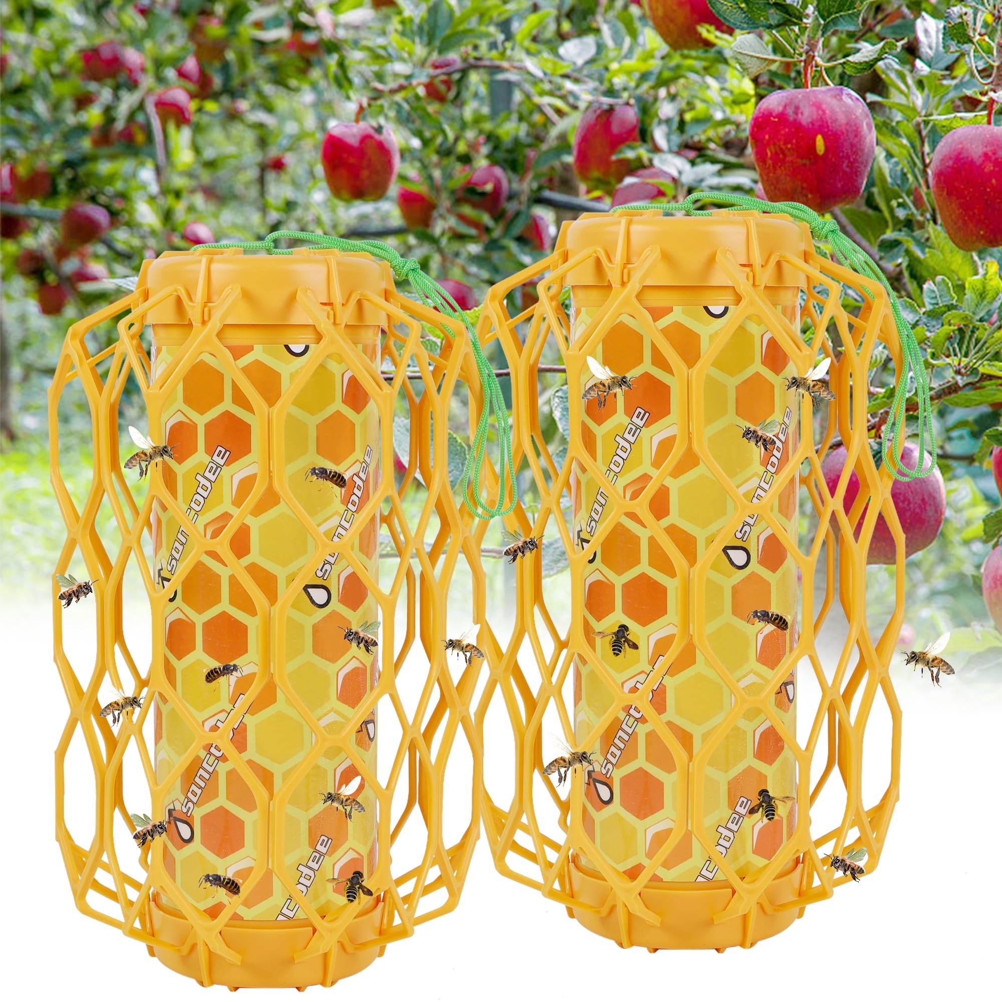 Amazon.com : Sancodee 2 Pcs Wasp Trap Outdoor Hanging, Insect